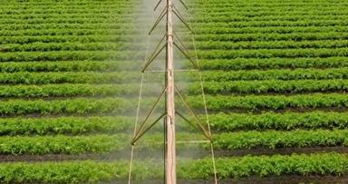农用企业- -用来浇灌农场植物的枢轴灌溉，农业，田间洒水灌溉系统，在旱季帮助种植植物，增加产量，浇灌土地，洒水